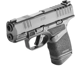 Hs h11
