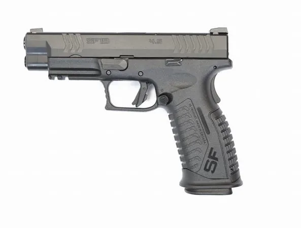 HS SF19