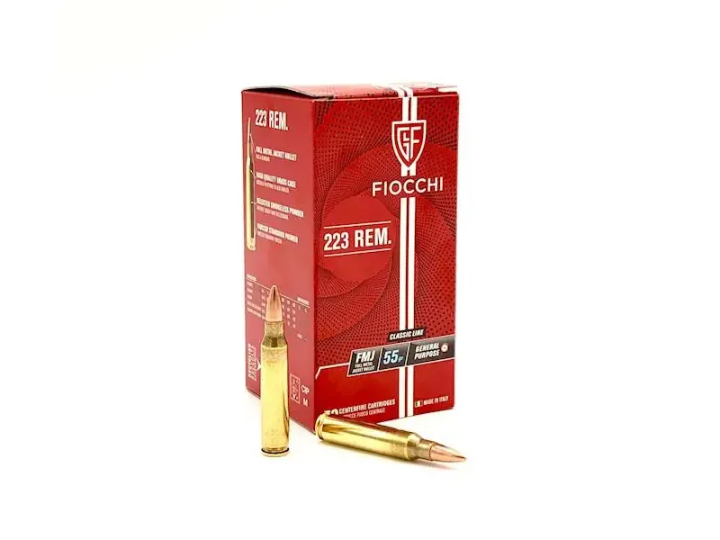 Fiocchi .223 REM FMJ 55gr