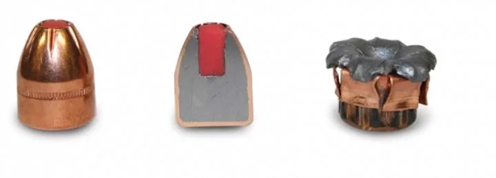Hornady Critical Defense