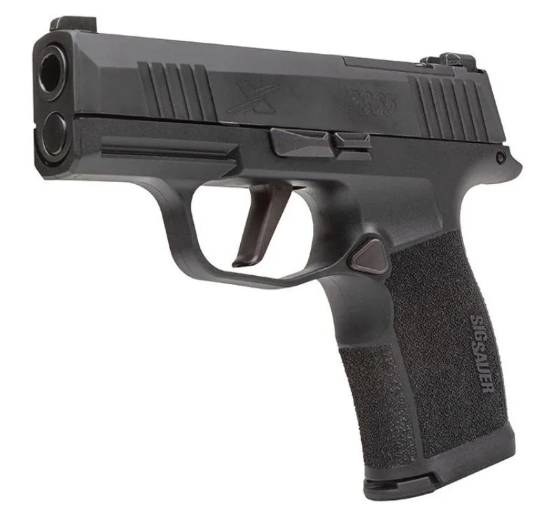 P365 x ms
