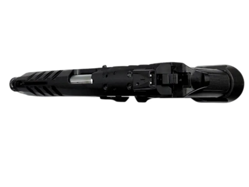 Tanfoglio force duty or fix