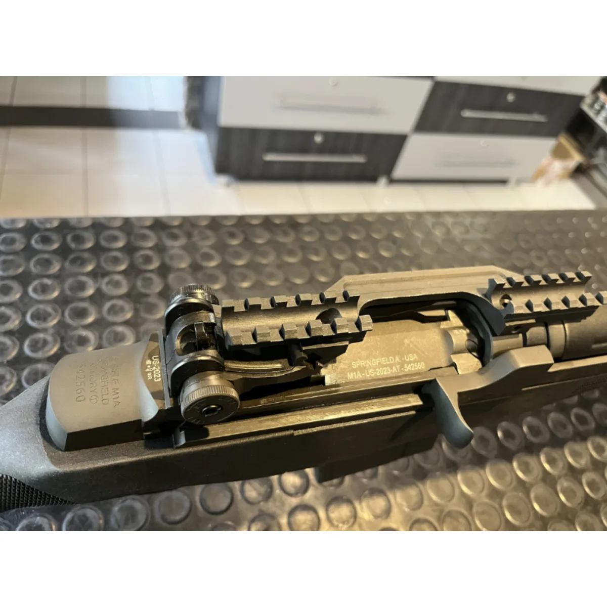 Springfield M1A